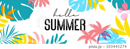 Hello summer tropical with plants and leaf decoration on background. 103445274