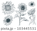 ひまわりのベクター手描きセット 103445531