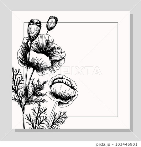 Banner with poppy flowers on a light background. Hand drawn poppy flowers. Symbol of the day of remembrance. Poster for the day of remembrance and victory. 103446901