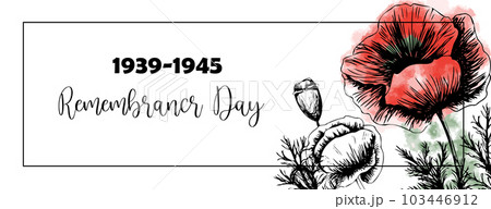Second world war 1939-1945, victory day, memorial day poster or banner on poppy flowers background.Vector illustration of bright poppy flower. Memorial day symbol Second world war 1939-1945, victory day, memorial day poster or banner on poppy flowers background.Vector illustration of bright poppy flower. Memorial day symbol 103446912