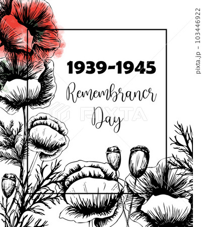 Second world war 1939-1945, victory day, memorial day poster or banner on poppy flowers background.Vector illustration of bright poppy flower. Memorial day symbol 103446922
