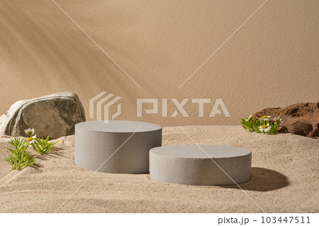 Gray podiums in cylinder and round shape decorated with Feverfew flowers and blocks of stone. Tropical leaf shadow. Stage showcase on minimal podium display Gray podiums in cylinder and round shape decorated with Feverfew flowers and blocks of stone. Tropical leaf shadow. Stage showcase on minimal podium display 103447511
