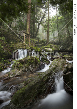 清流の瓜破の滝 清流の瓜破の滝 103447551