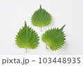 料理の添えもの青じそ 103448935