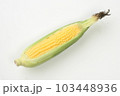 夏野菜とうもろこし 103448936