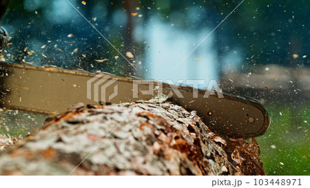 Freeze Motion of a Chainsaw Cutting the Wooden Log 103448971