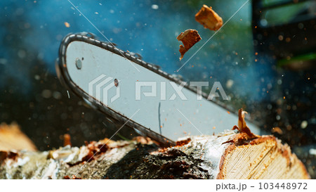 Freeze Motion of a Chainsaw Cutting the Wooden Log 103448972