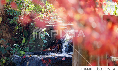 せせらぎを背景に赤いもみじの葉がぼかしで 103449218