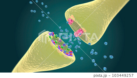 Dopaminergic Intrinsic Activity in Bipolar Depression 103449257