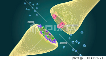 Role of Dopamine Partial Agonist Role of Dopamine Partial Agonist 103449271