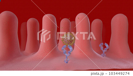Covid-19 Immune Response with Vaccination, Antibodies 103449274