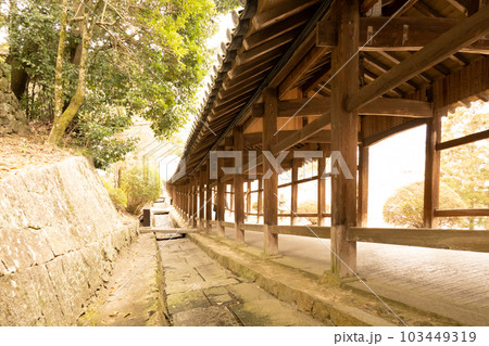 桃太郎伝説の地「吉備津神社」 in 岡山県岡山市 桃太郎伝説の地「吉備津神社」 in 岡山県岡山市 103449319