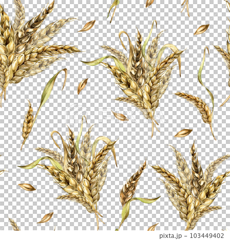 Wheat ear bunch watercolor seamless pattern isolated on white background. Spikelet of rye, barley, grains hand drawn. Design element for textile, paper, packaging, label grocery, bakery, wrapping Wheat ear bunch watercolor seamless pattern isolated on white background. Spikelet of rye, barley, grains hand drawn. Design element for textile, paper, packaging, label grocery, bakery, wrapping 103449402