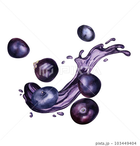 Acai berries on juice splash watercolor illustration isolated on white. Exotic amazon small purple berries, tropical fruit hand drawn. Design element for wrapping, packaging, label, kitchen utensil 103449404