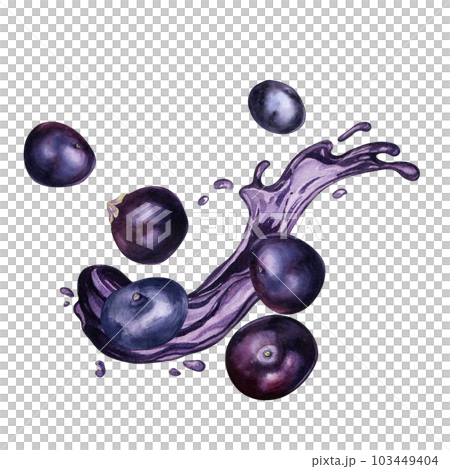 Acai berries on juice splash watercolor illustration isolated on white. Exotic amazon small purple berries, tropical fruit hand drawn. Design element for wrapping, packaging, label, kitchen utensil 103449404