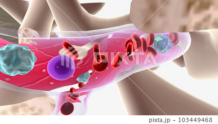 The major function of bone marrow is to produce blood cells. 103449468