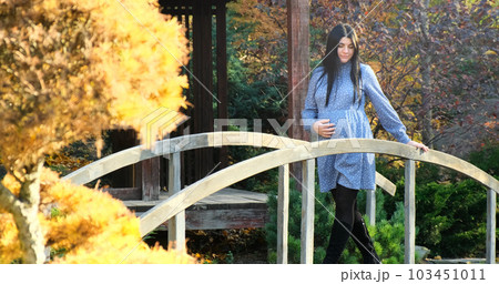 Beautiful pregnant woman walks in autumn park. Happy, pregnant, smiling mother in dress enjoys nature beauty. Maternity happiness outdoor. Expecting baby. Healthy, active pregnancy. Motherhood joy 103451011