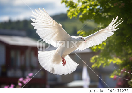 A white dove is taking off. Freedom concept and international day of peace. Generative AI 103451072