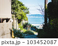 鎌倉の日常から見える海 103452087