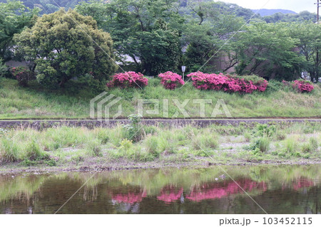 水面に反射する風景 水面に反射する風景 103452115