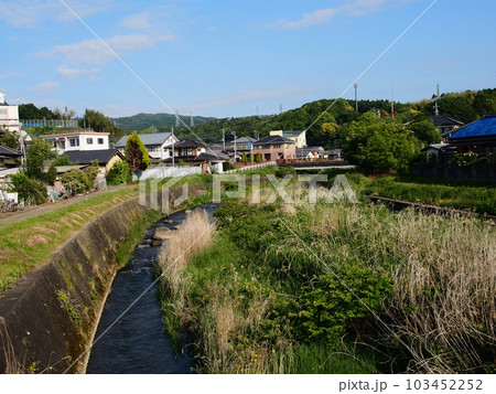 初夏の十王川の朝 初夏の十王川の朝 103452252