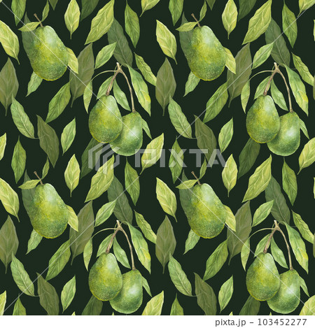 Watercolor seamless pattern with illustration of appetizing green hass avocados and leaves on dark background. 103452277