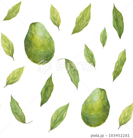 Watercolor seamless pattern with illustration of appetizing green hass avocados and leaves on white background. 103452281
