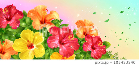 ハイビスカスと虹色背景　横長 103453540