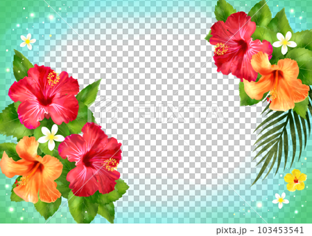 Refreshing frame of hibiscus Refreshing frame of hibiscus 103453541