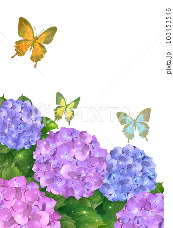 紫陽花と蝶 のイラスト素材 [103453546] - PIXTA