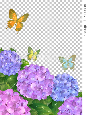 紫陽花と蝶 のイラスト素材 [103453546] - PIXTA