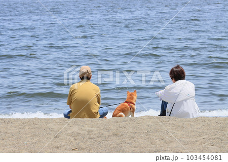 海を眺める夫婦 犬の散歩をする家族 海を眺める夫婦 犬の散歩をする家族 103454081