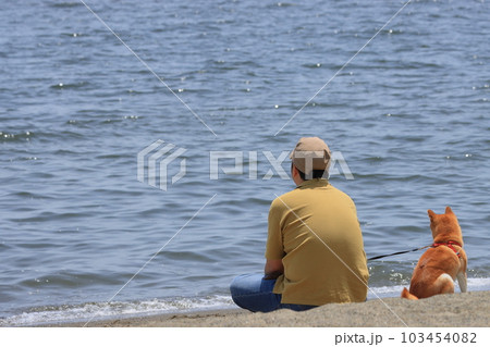 海を眺める夫婦 犬の散歩をする家族 海を眺める夫婦 犬の散歩をする家族 103454082