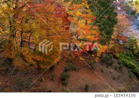 紅葉に映える岡城跡周辺の紅葉風景(大分県竹田市) 紅葉に映える岡城跡周辺の紅葉風景(大分県竹田市) 103454150