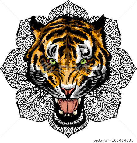 vector illustration of tiger head with mandala. vector illustration of tiger head with mandala. 103454536