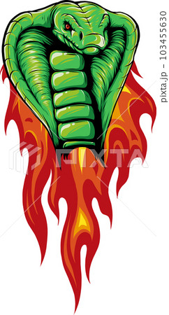 vector illustration of cobra head with flames vector illustration of cobra head with flames 103455630