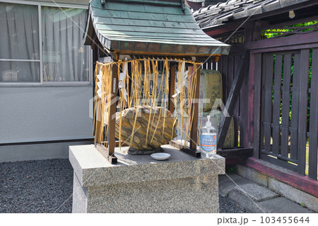 京都　若宮八幡宮（陶器神社）蓬莱石 103455644