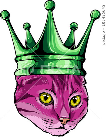 vector illustration of cat in crown on white background 103455645
