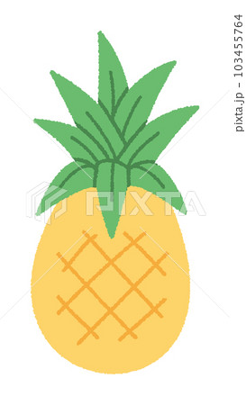 パイナップルの手書きベクターイラスト／夏を感じるイラスト 103455764