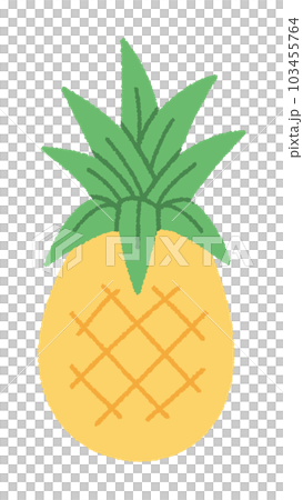 パイナップルの手書きベクターイラスト／夏を感じるイラスト 103455764