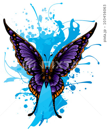 vector illustration of colored butterfly hand draw vector illustration of colored butterfly hand draw 103456063