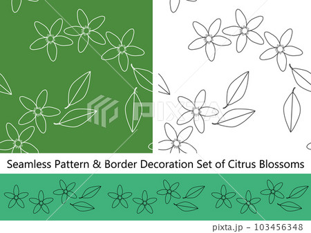 柑橘類の花のシームレスパターンとボーダー飾のセット 柑橘類の花のシームレスパターンとボーダー飾のセット 103456348