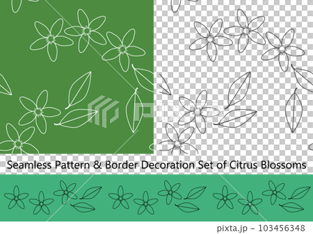 柑橘類の花のシームレスパターンとボーダー飾のセット 柑橘類の花のシームレスパターンとボーダー飾のセット 103456348