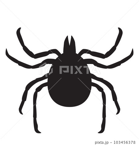 Tick vector illustration. Insect is simple flat style isolated on white background 103456378