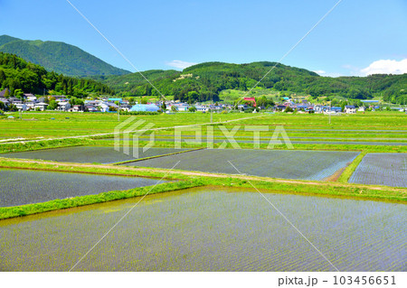 長野県飯綱町芋川周辺の風景(長野県飯綱町)【2023.5】 103456651