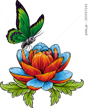 vector illustration of butterfly on flower design 103457242
