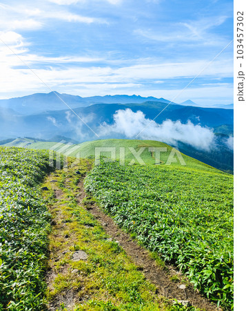 夏の三峰山トレッキング（山頂から八ヶ岳・富士山方面の眺め） 103457302