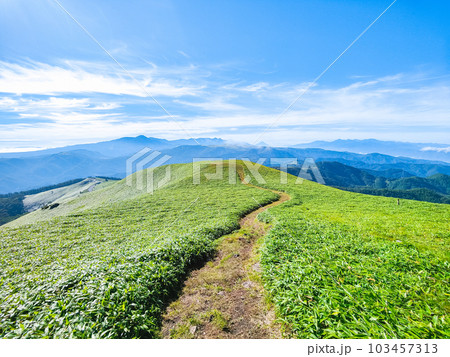 夏の三峰山トレッキング(山頂から八ヶ岳・富士山・南アルプス方面の眺め) 夏の三峰山トレッキング(山頂から八ヶ岳・富士山・南アルプス方面の眺め) 103457313