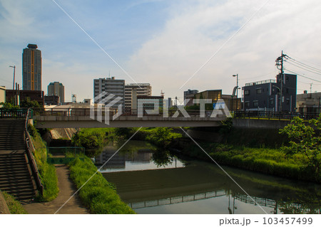 中の橋 2023 芝川 中の橋 2023 芝川 103457499