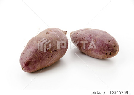 紅芋 紅芋 103457699